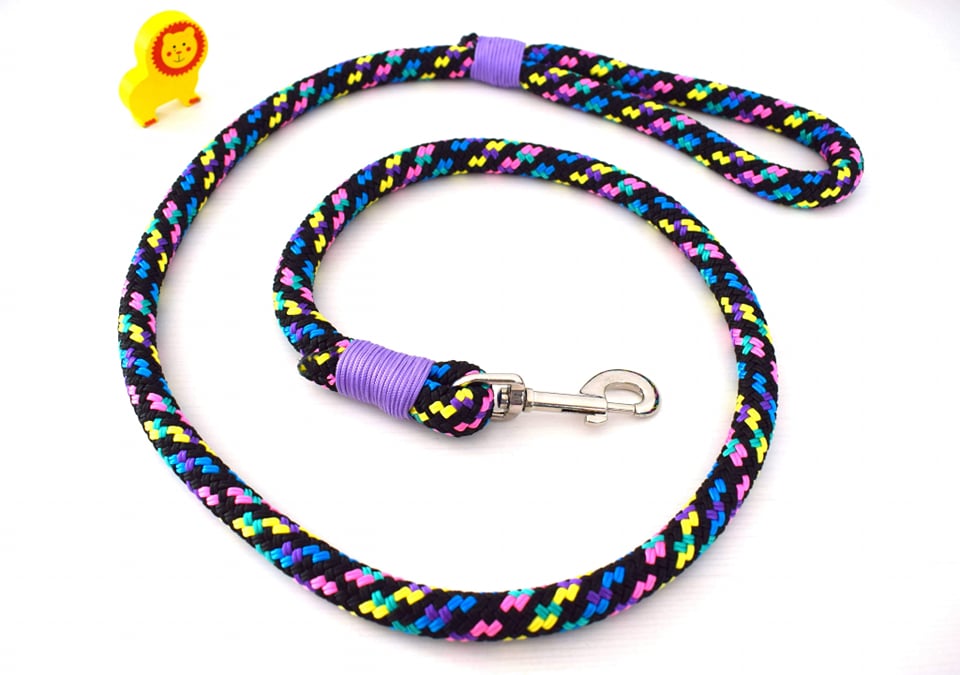 Simple leash 2024