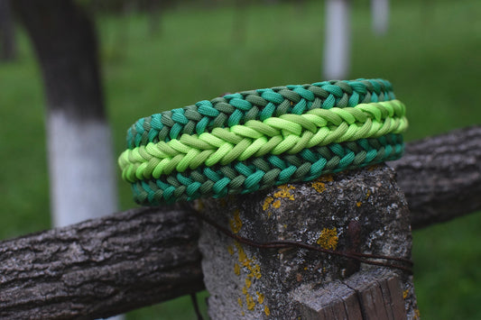 Heart Braid Dog collar