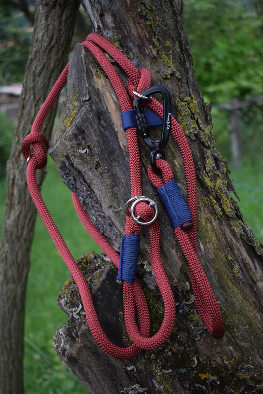 Premium Copper Red Dog Loop Leash