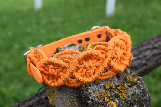 Drachengeflecht Hundehalsband