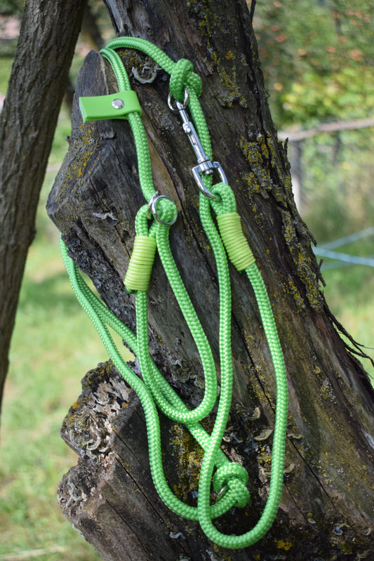 Neon Green Dog Loop Leash