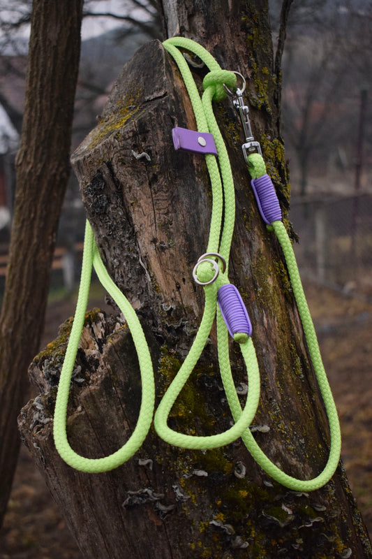 Neon Green Dog Loop Leash