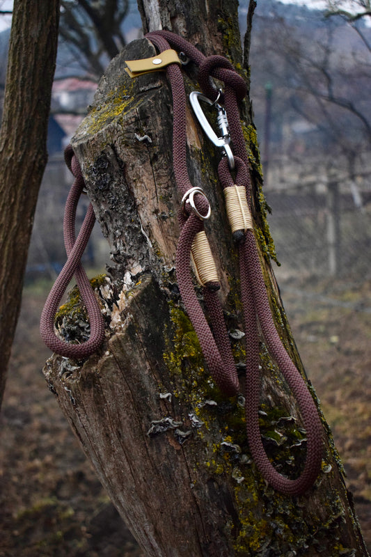 Brown Dog Loop Leash