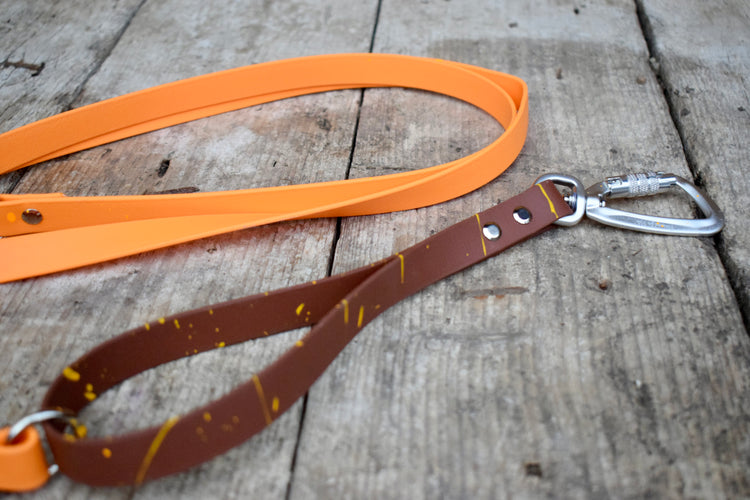 Multifunction Quick Biothane leash