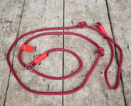 Bordoux and Red Dog Loop Leash