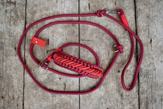 Bordoux and Red Dog Loop Leash