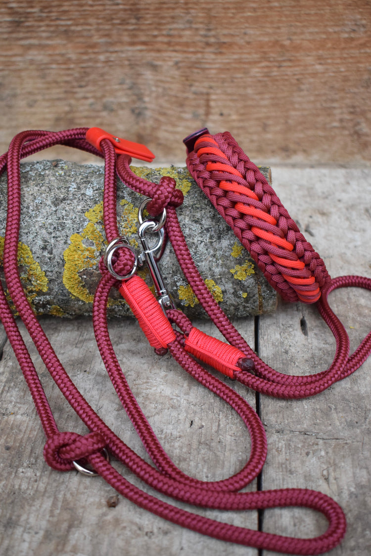 Bordeaux and Red Caramel Dog set: collar and leash