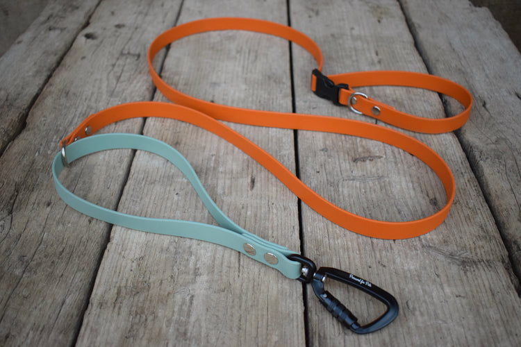 Multifunction Quick Biothane leash