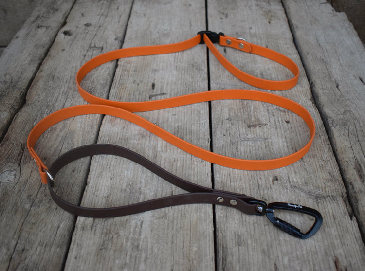 Multifunction Quick Biothane leash