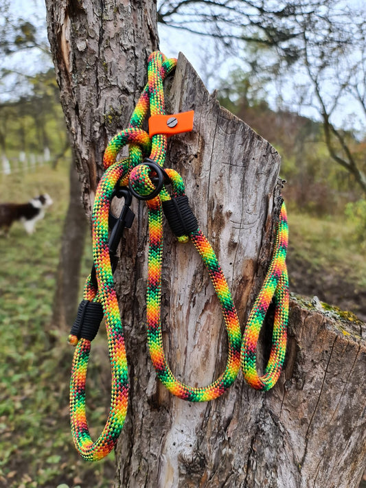 Gummi Bears Dog Loop Leash