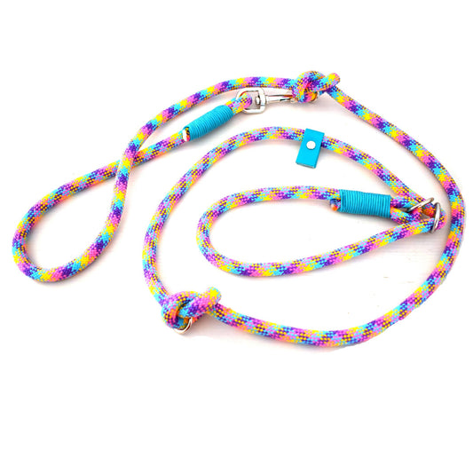 dog leash, retriever leash, colorful leash, all purpose leash, multifunction leash 