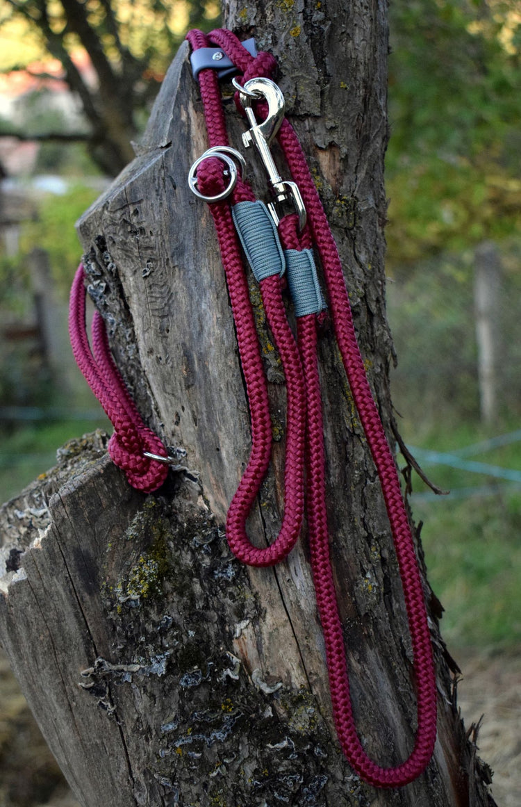 Bordoux and Silver Dog Loop Leash