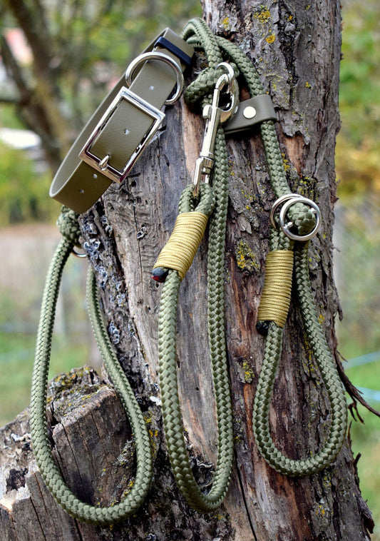 Olive Dog Set: collar and leash