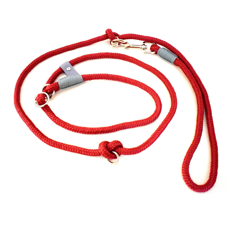 Bordoux and Silver Dog Loop Leash