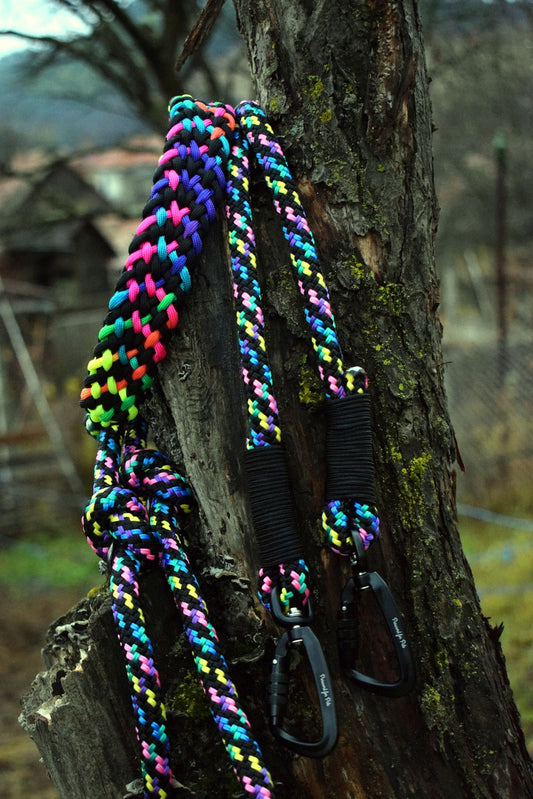 Pumpkin Braid Dog collar