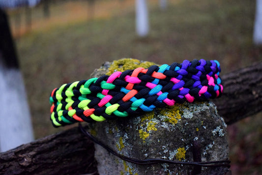 Pumpkin Braid Dog collar