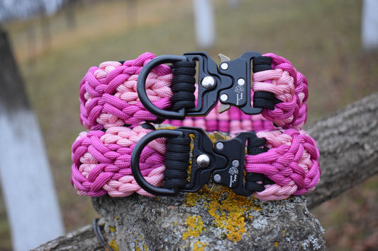 Rubin braid Dog collar