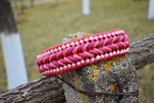 Happiness Braid Dog collar