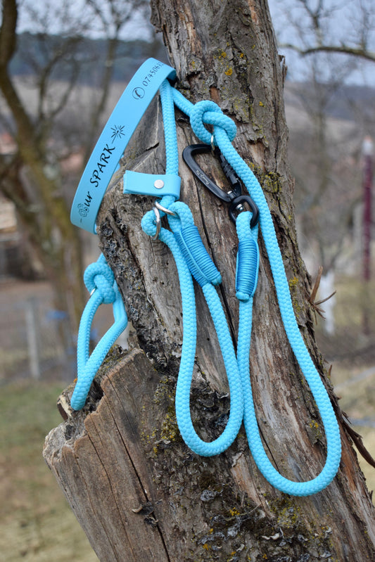 Ocean Dog Set: collar and leash