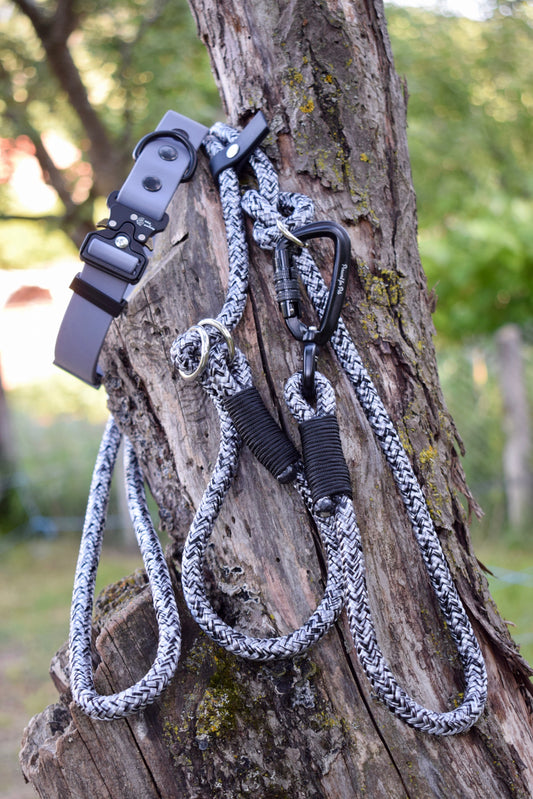 Noise Dog Set: collar and leash