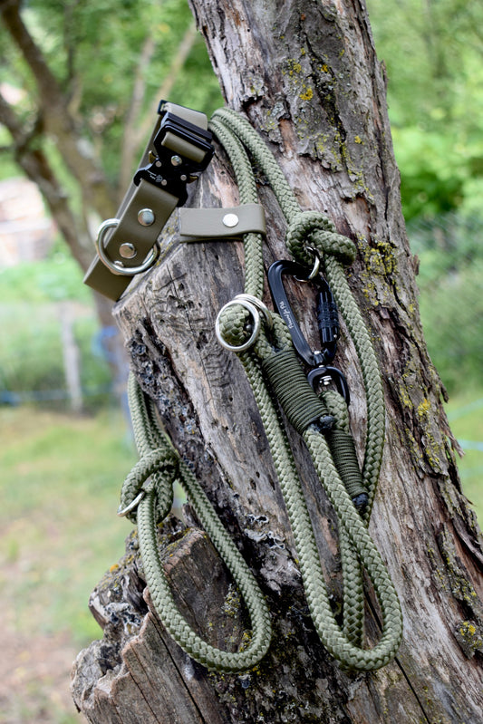 Olive Dog Set: collar and leash