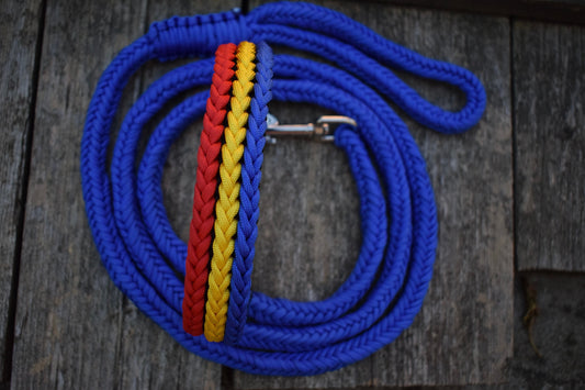 Tricolor Dog set: collar and leash