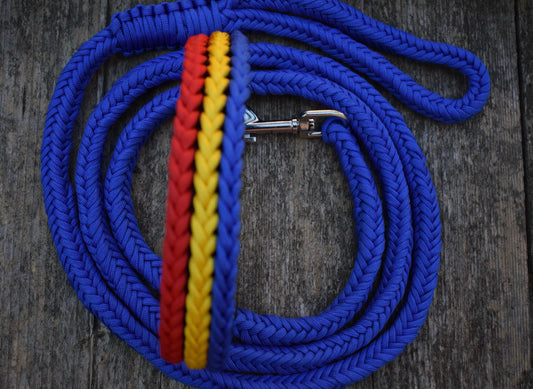 Tricolor Dog set: collar and leash