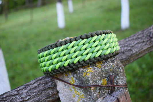 Candy Braid Dog collar