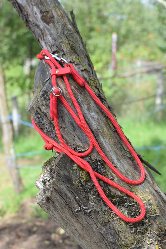 Red Dog Loop Leash