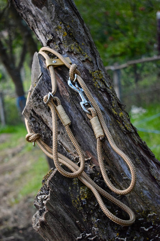 Gold Brown Dog Loop Leash