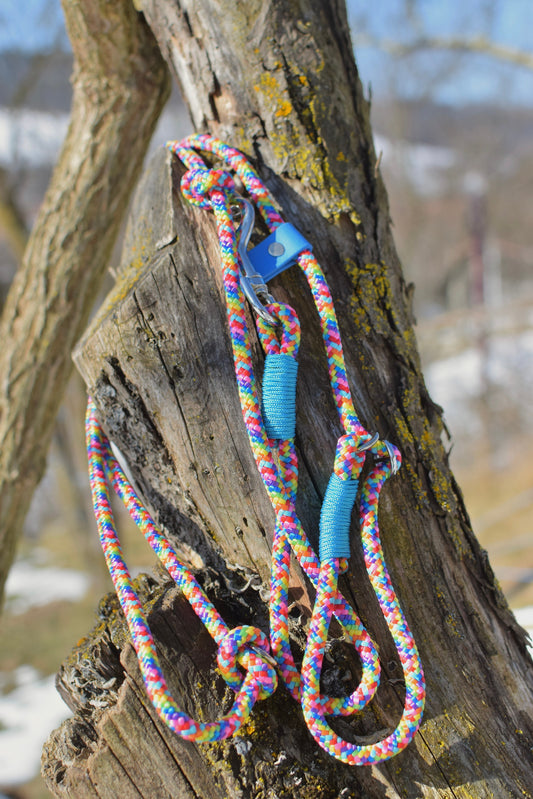 Rainbow Dog Loop Leash