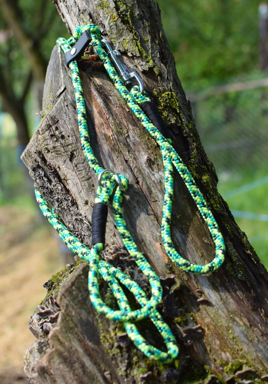 Gecko Dog Loop Leash