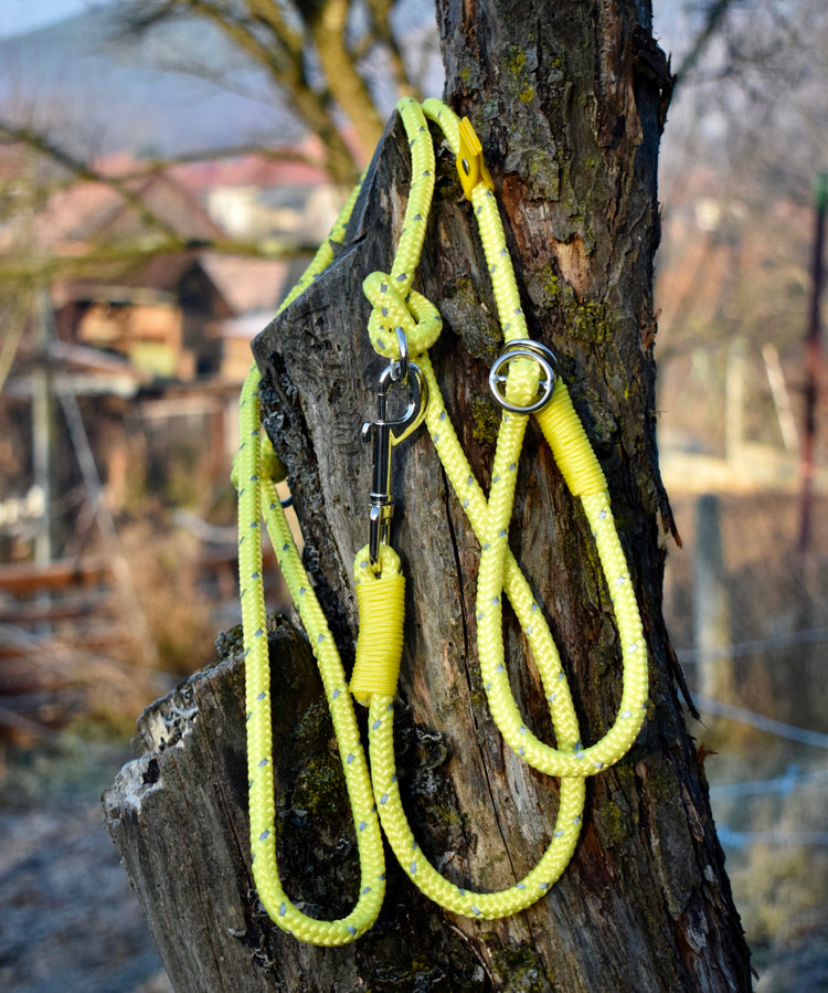 Reflectable Dog Loop Leash