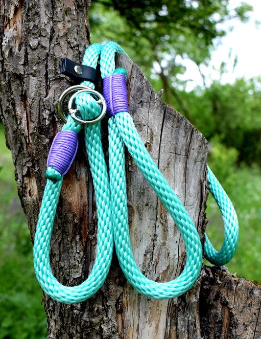 American Bully leash, loop leash, retriever leash, big dog leash, refective leash, bully collar, american bully puppy, cord leash, mint ppm cord, 