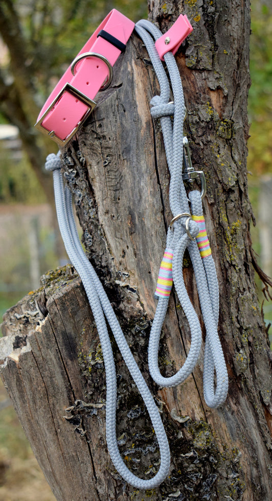 Pink and Grey Dog Set: collar and leash