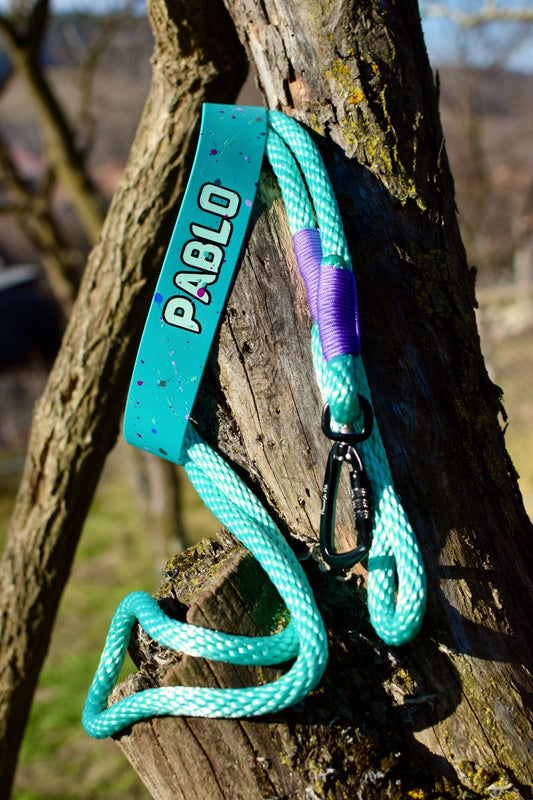 Mint Big Dog Dog set: collar and leash