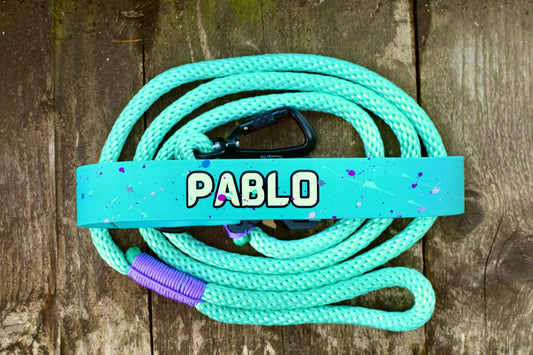 Mint Big Dog Dog set: collar and leash