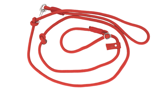 Red Dog Loop Leash